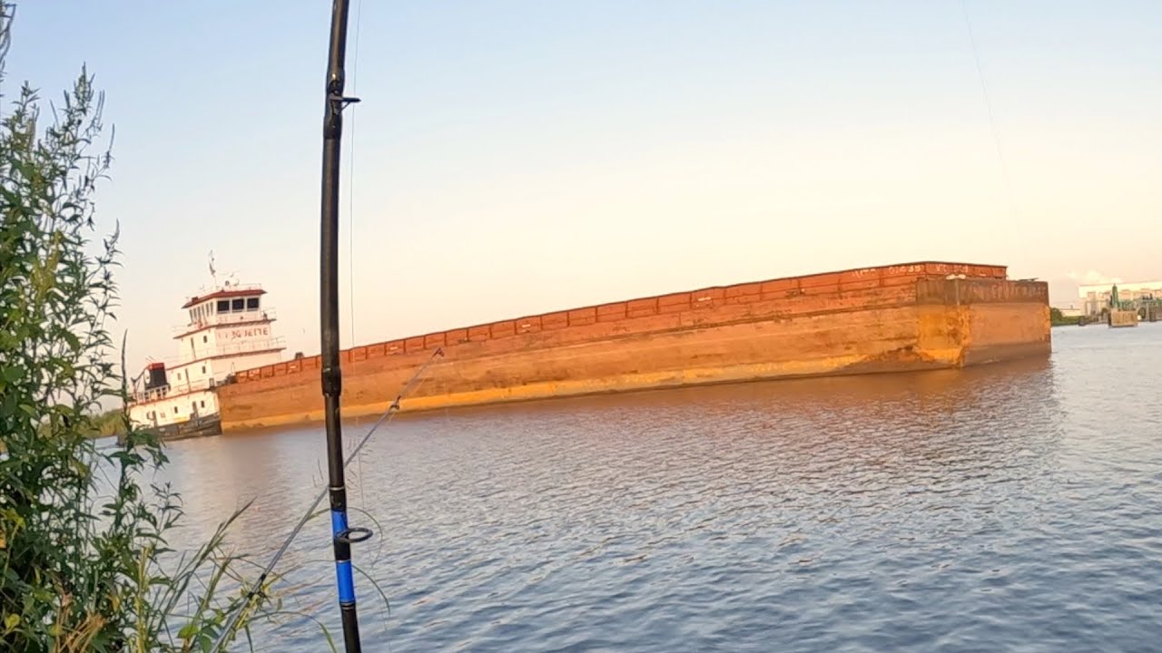 Barges Are Pluses And Minuses, Fishing For Catfish