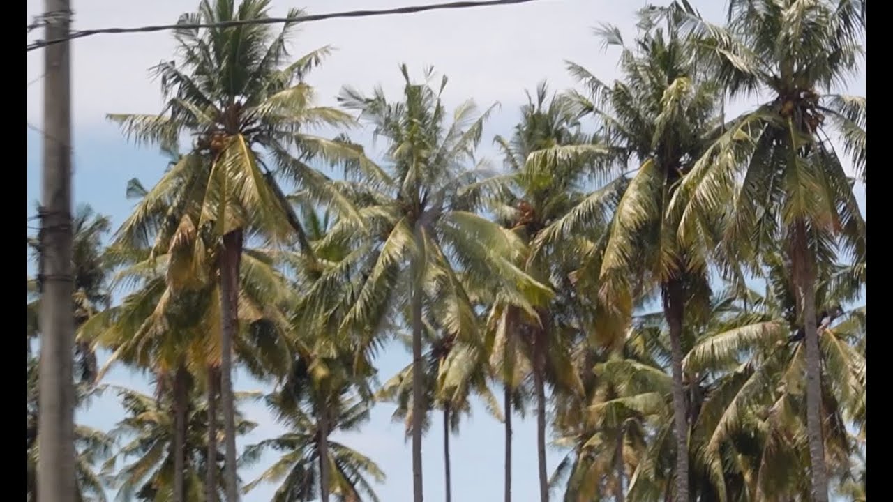 sidequests on sidequests (shooting for a bollywood movie in remote Indonesia)