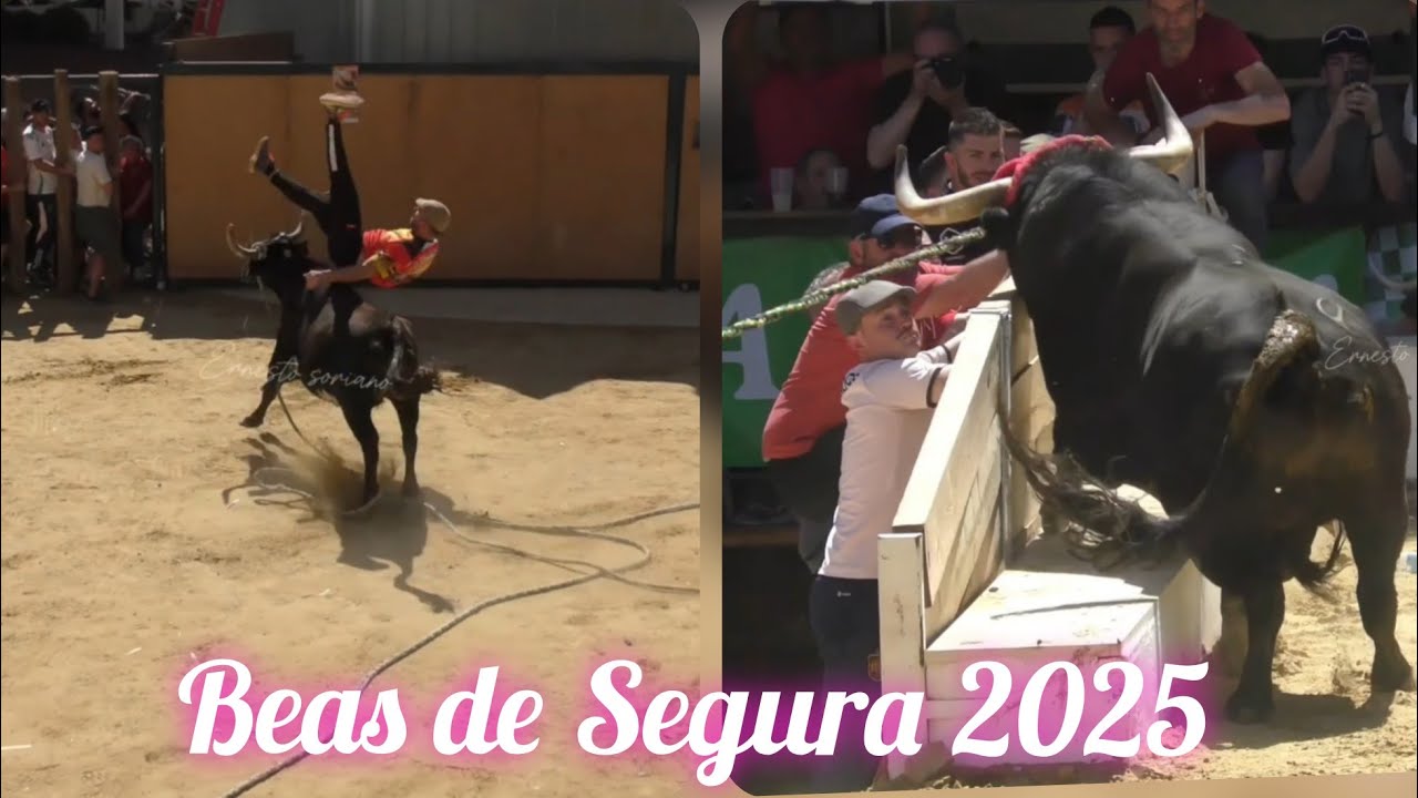 Beas de Segura las Mejores imágenes 2025 parte 1 - Emocionante 24 de Abril - Viva San Marcos !!