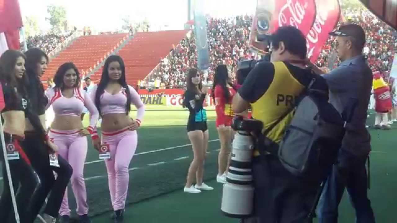 edecanes y aficion en el Xolos vs Pachuca HD