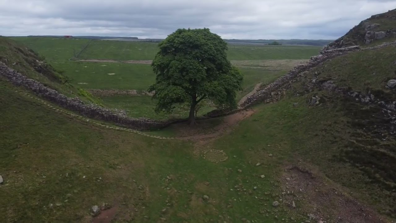 Sycamore Gap - 8th June 2021