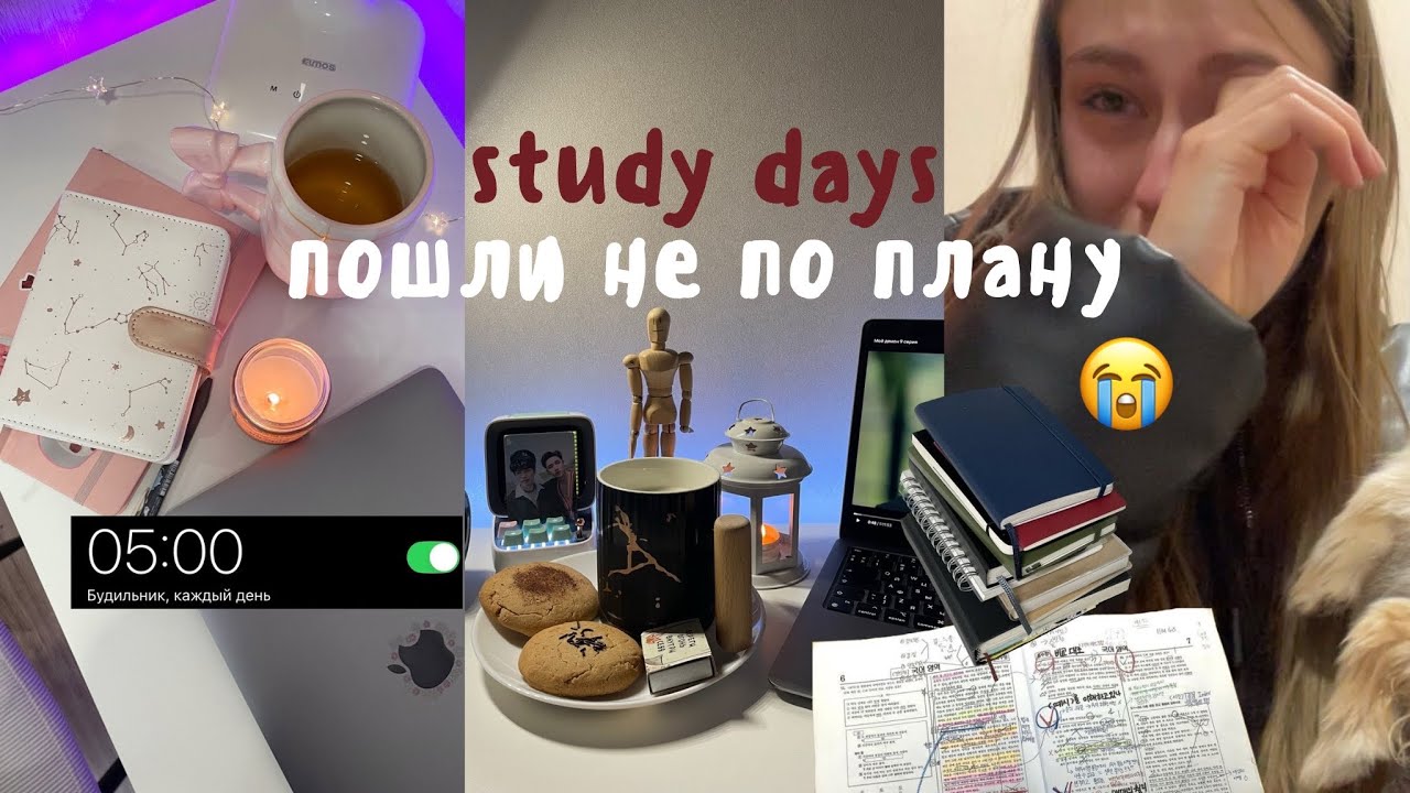 УЧЕБНЫЙ ВЛОГ: Укусила собака, последняя сессия, гастрит, организация канцелярии