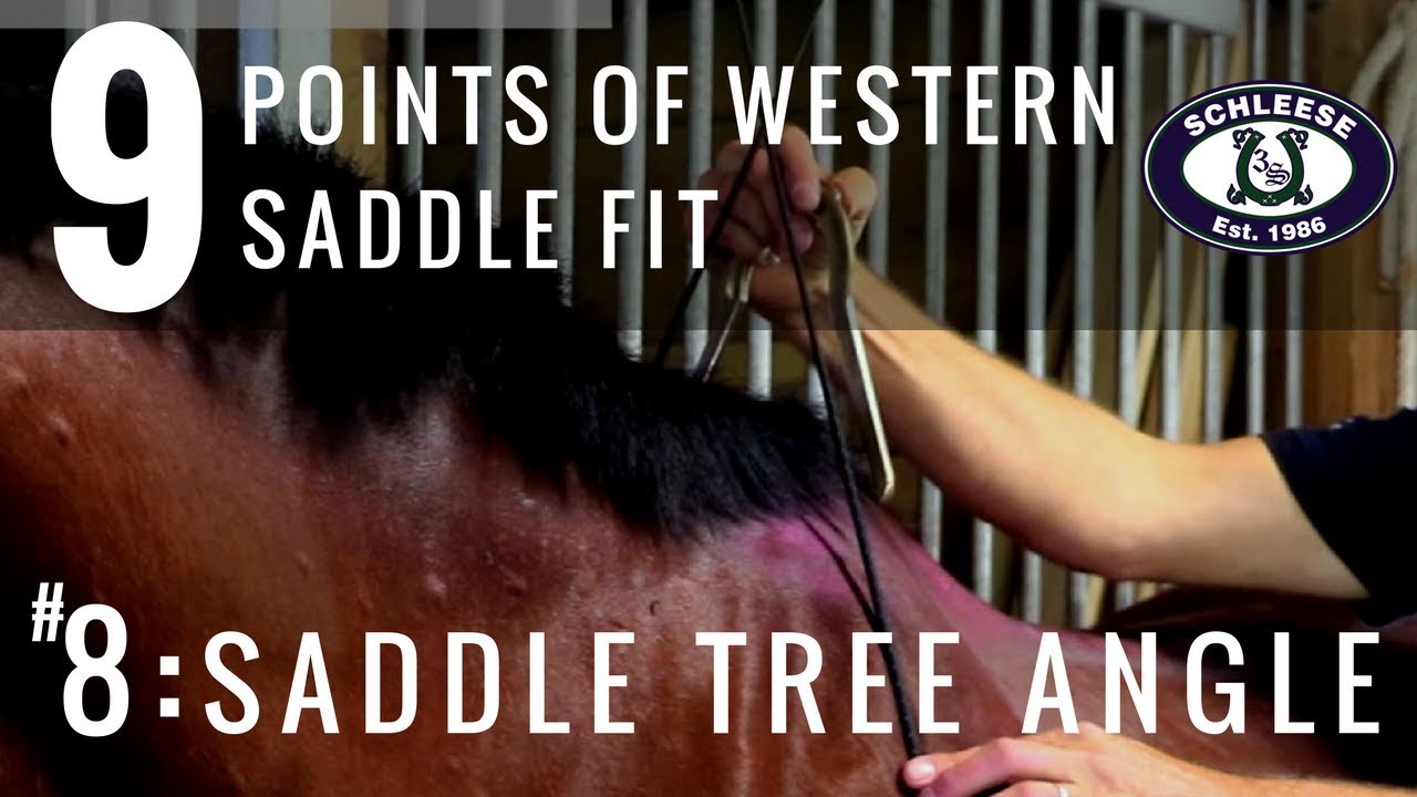Tip #8: Saddle Tree Angle - The 9 Points of Western Saddle Fit