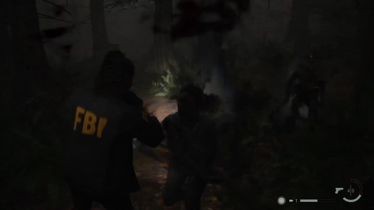 Alan wake2