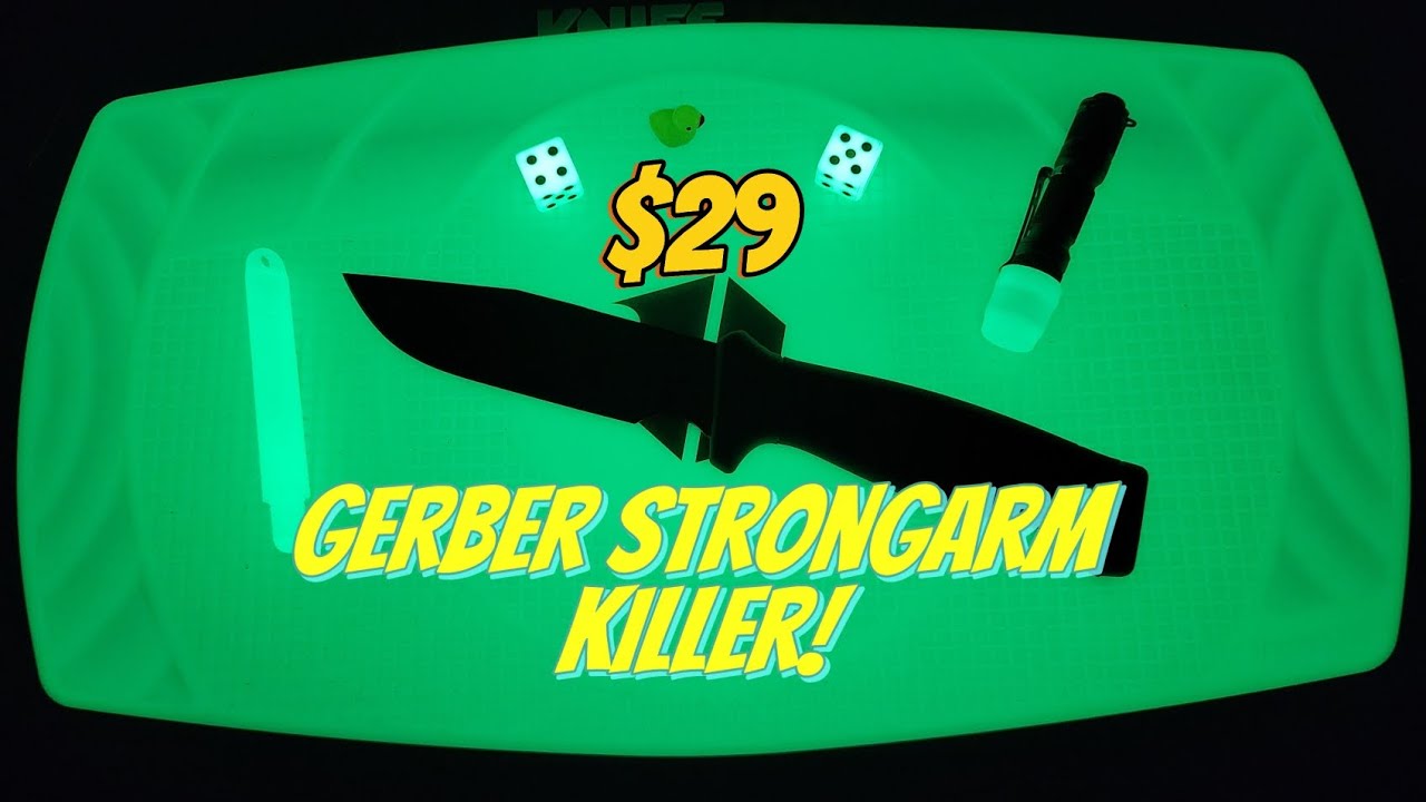 $29 Gerber Strongarm Killer! HX Outdoors Hound - a GREAT Survival/Outdoors knife for 1/3 price! #fyp