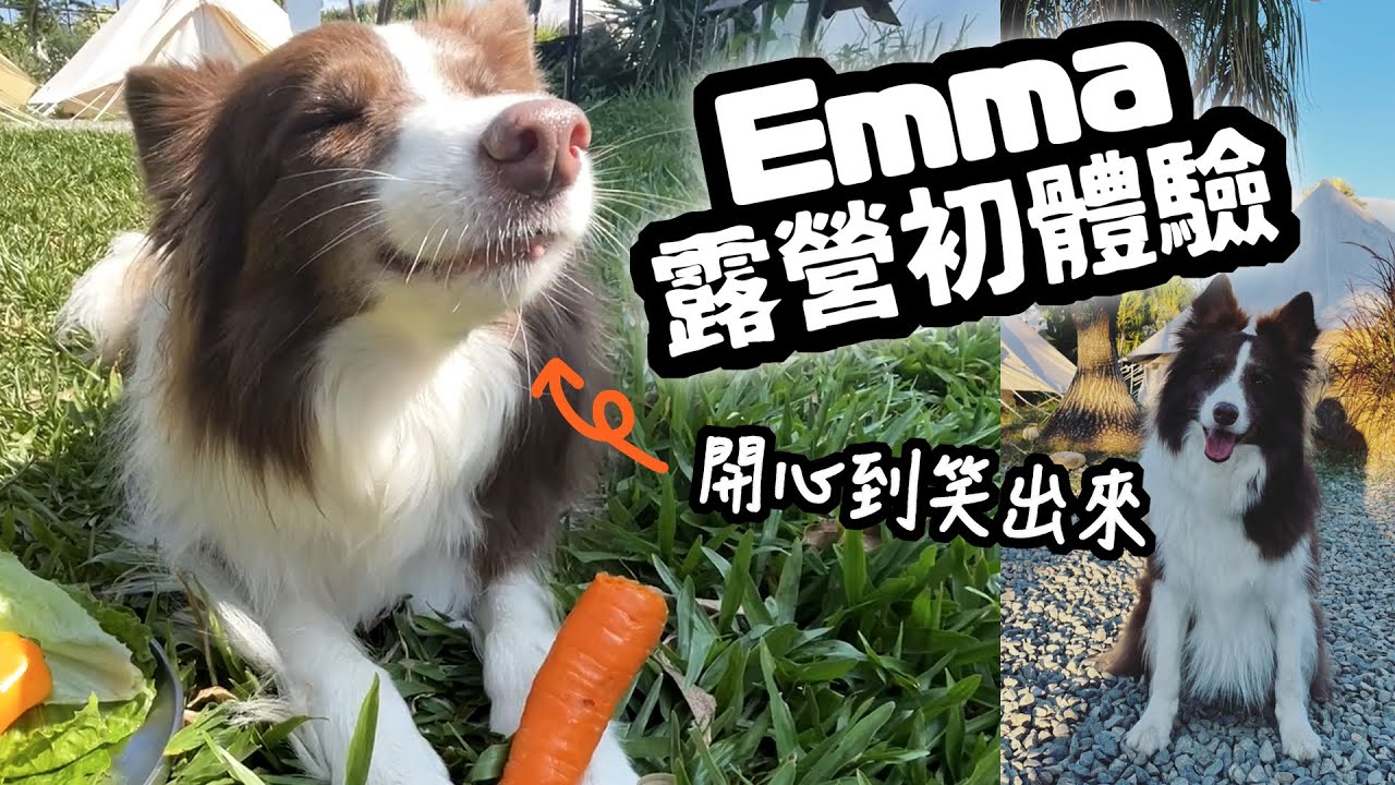 狗與鹿 ｜Emma露營初體驗｜從擔心緊張...到放鬆舒壓笑出來的一趟旅行