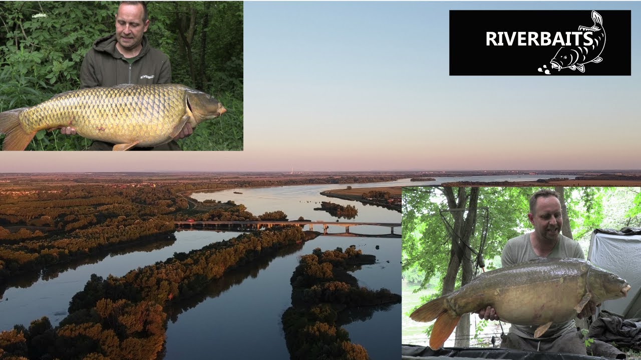 Lov kapra  rieka Váh  sezona 2020 Michal a Celestín Košta RIVERBAITS