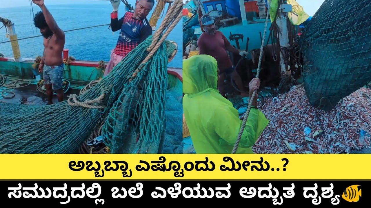 🐟 ಸಮುದ್ರದಲ್ಲಿ ಬಲೆ ಎಳೆಯುವ ಅದ್ಭುತ ಕ್ಷಣಗಳು