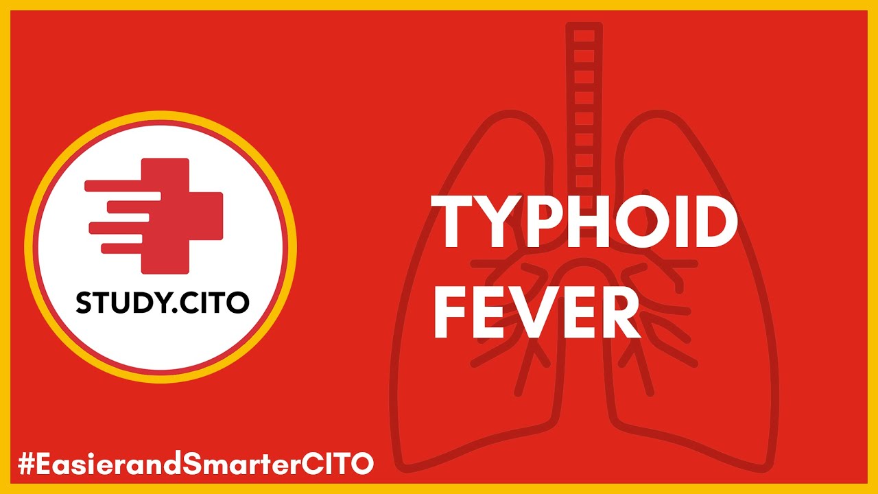 Pediatric Typhoid Fever -  Introduction - CITO Free Class (Part 1)