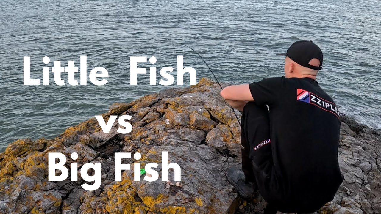 Friars Point Little Fish vs Big Fish