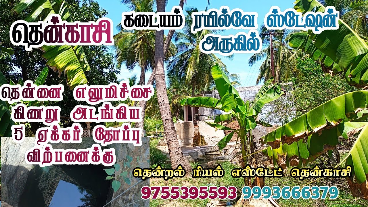 #தென்காசி || கடையம் ரயில்வே ஸ்டேஷன் அருகில் ||  தென்னை,மா,வீடு கிணறோடு 5ஏக்கர் தோப்பு விற்பனைக்கு🌳🌴🏠