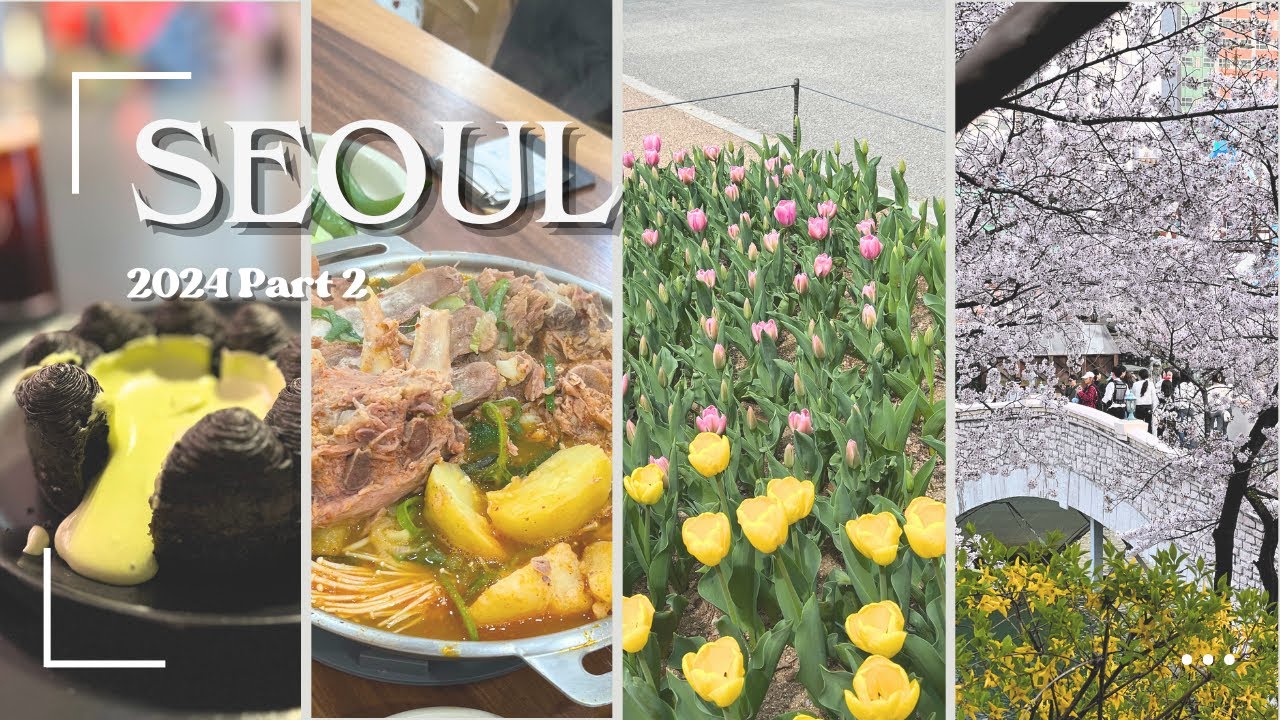 SEOUL VLOG Part 2 🇰🇷 🌸 Popular pork bone soup & charcoal black Nudake pastry 🤤