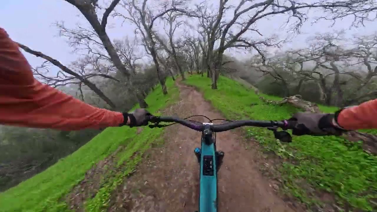 Curl after the rain (bad idea) | Briones MTB