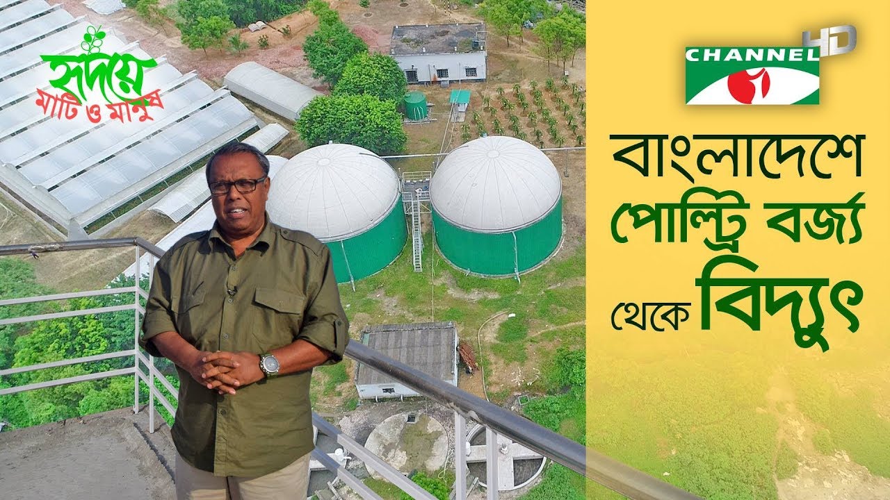বাংলাদেশে পোল্ট্রি বর্জ্য থেকে বিদ্যুৎ | Channel i |