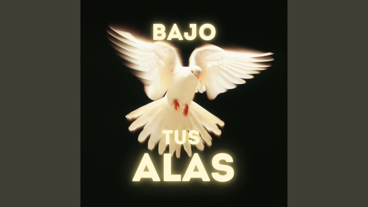 BAJO TUS ALAS 1