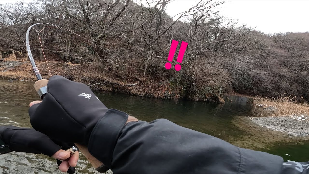 淵で掛かったやつが思ったよりデカくて森林
