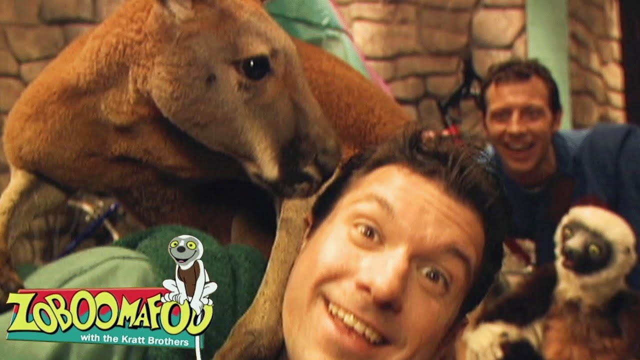 Saltadores | Zoboomafoo Português - WildBrain | Episódios Completos para Crianças