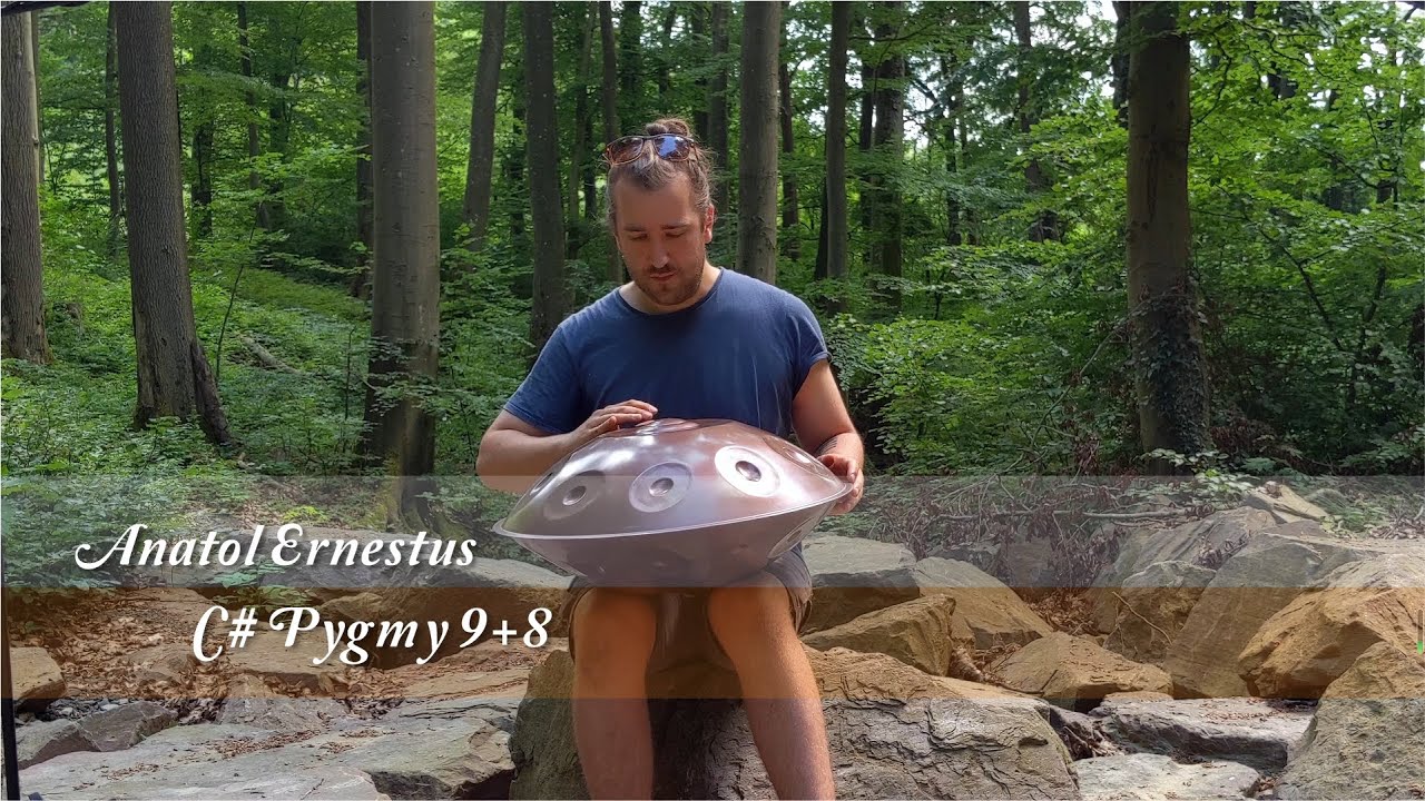 MrPans handpan - C# Pygmy 9+8 - Anatol Ernestus