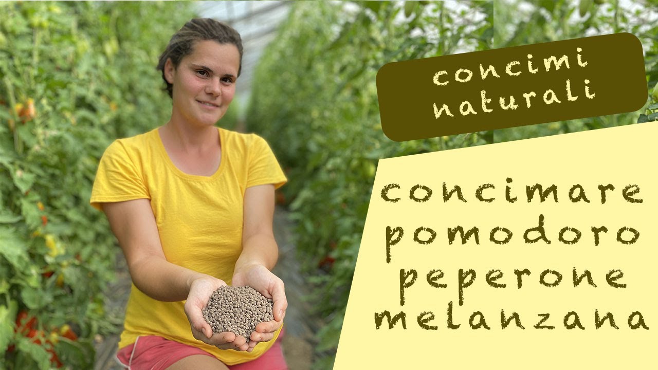 CONCIMI NATURALI per l'orto!