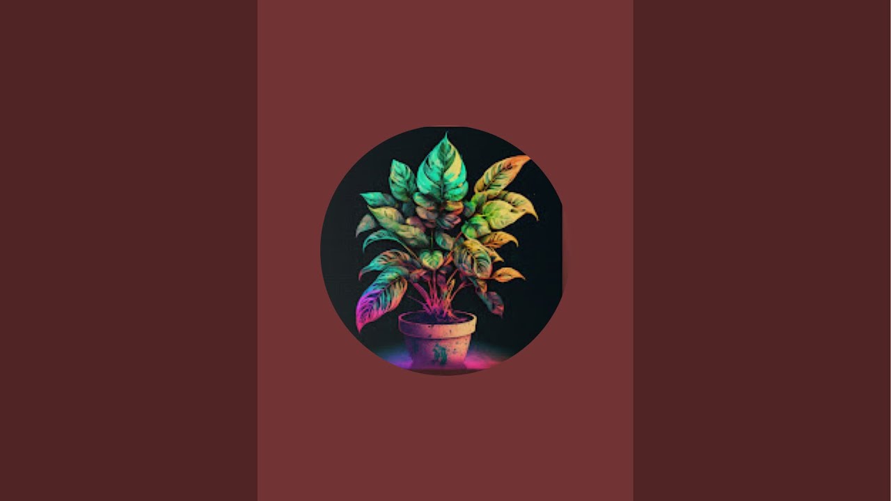 AHappyLittlePlant Makes a Fire