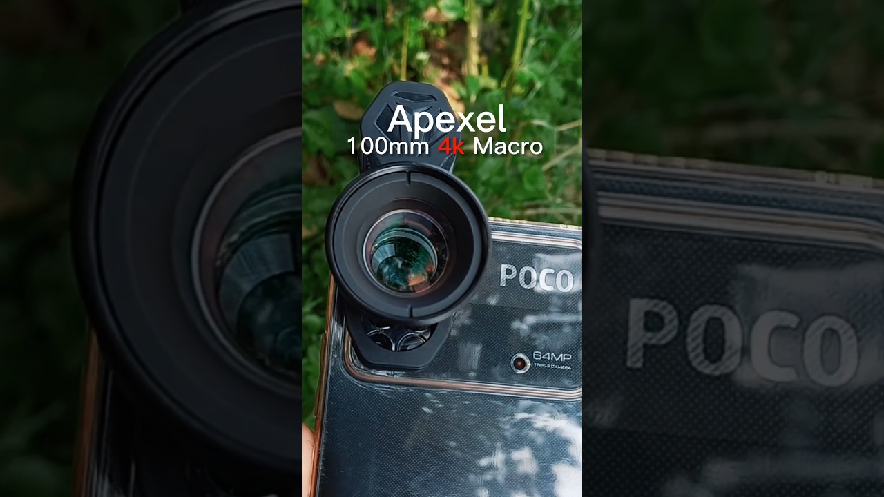 Apexel 100mm 4k Macro Lense 🔥 || Macro Mobile Photography 📷🌿 #nature #macrophotography #macrolens