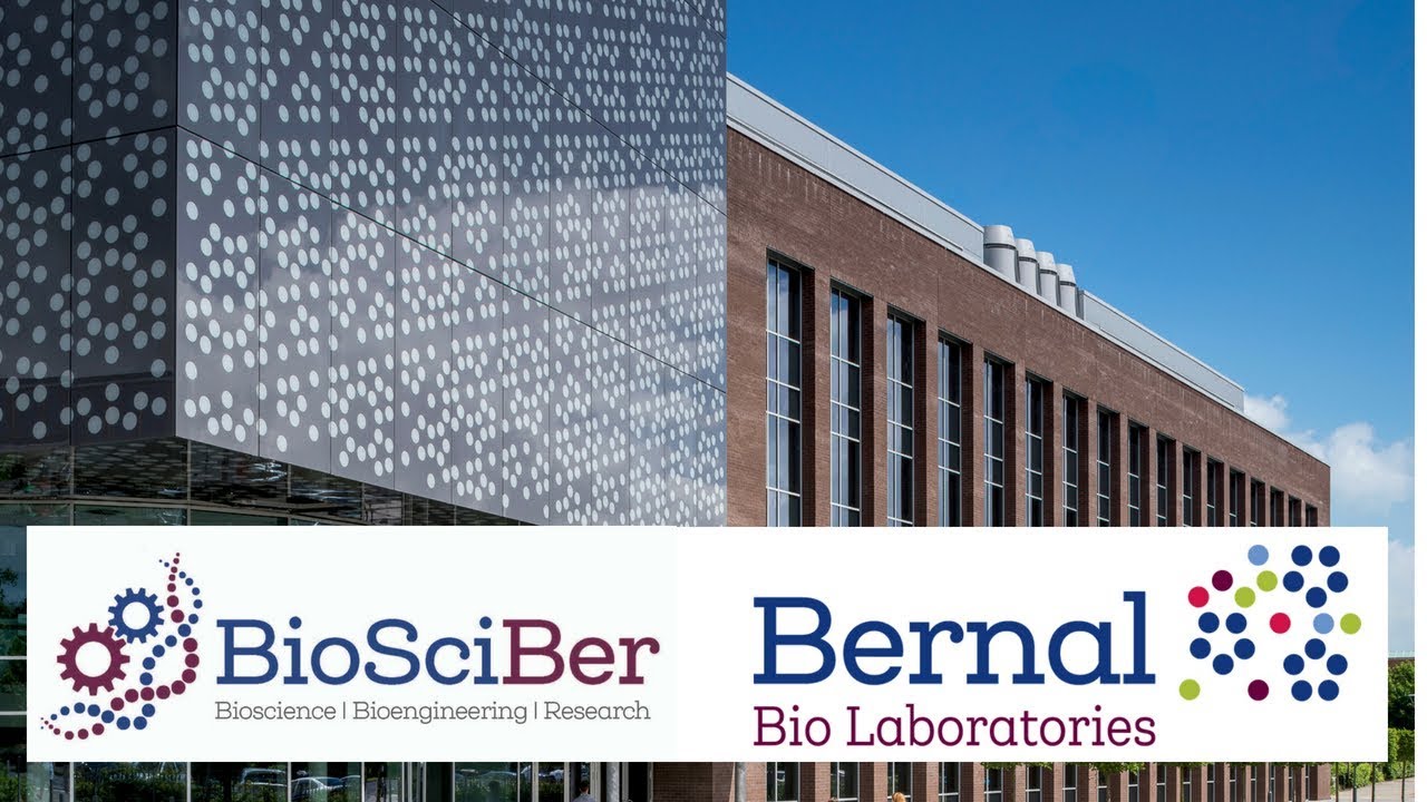 BioSciber on inVitro BioMemetics