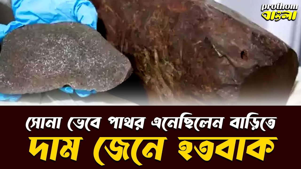 সোনা ভেবে পাথর এনেছিলেন বাড়িতে, দাম জেনে হতবাক | Prothom Bangla