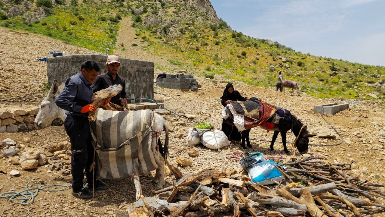 IRAN nomadic life: Gathering Firewood for the Nomadic Home | Nomadic Life in the Zagros Mountains🌲🔥