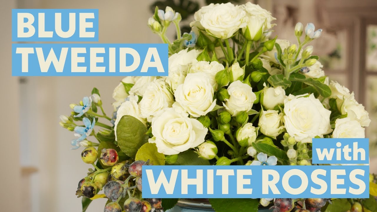 Blue Tweedia with White Roses | Floristry Design Tutorial