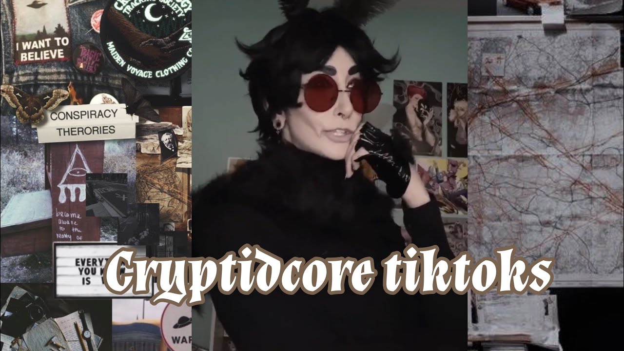 Cryptidcore tiktoks because i love mothman