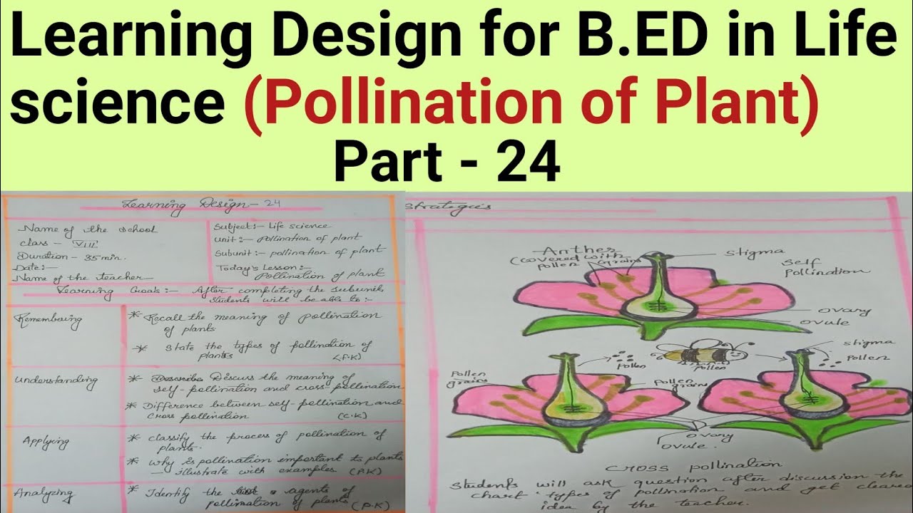 Learning Design For B.Ed in Life Science part -24 ( Pollination of Plant 🌹🌹)