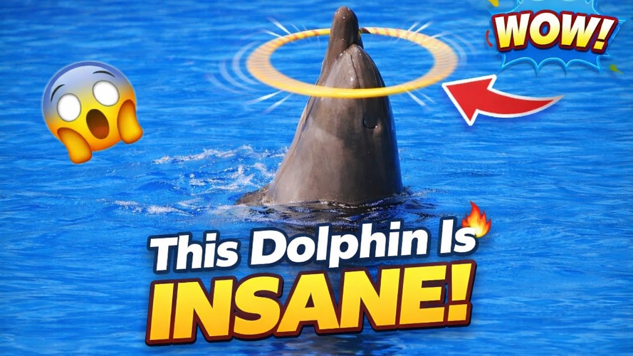 You Won’t Believe This Dolphin! 🐬😲 