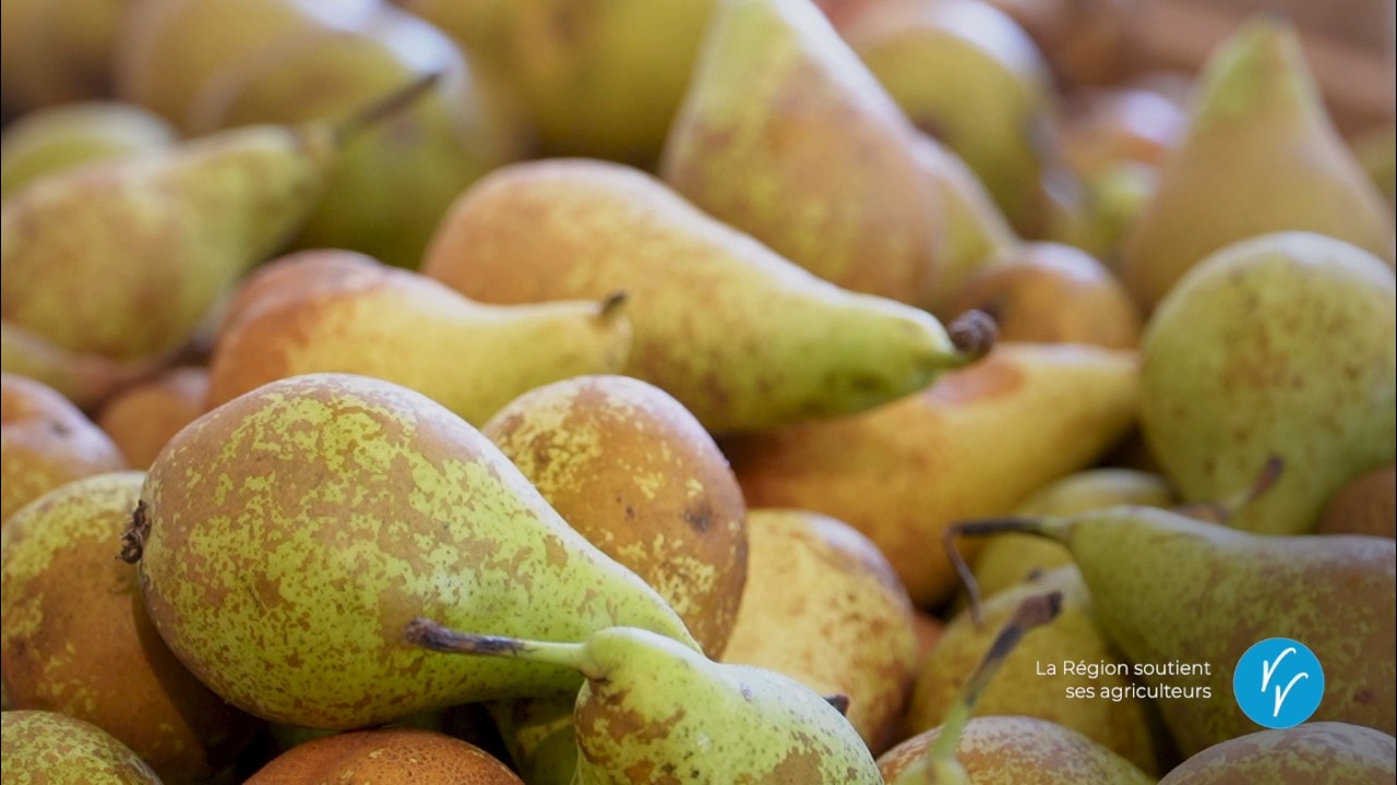 Voyons Voir : le quotidien des agriculteurs