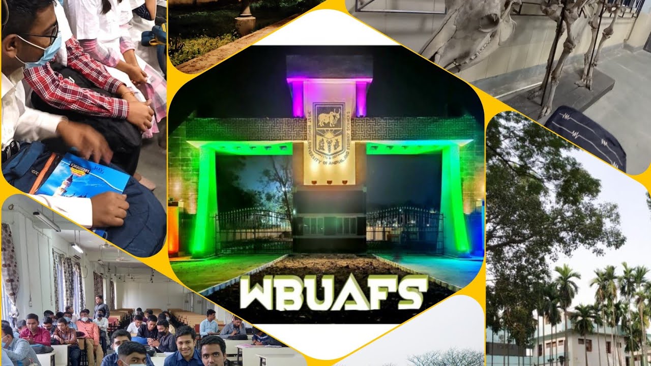 my overall 1st weak experience at wbuafs ..hostel,college,teachers,seniors.
