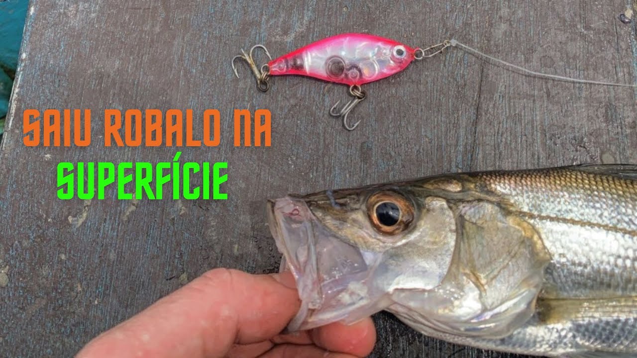 PESCARIA DE ROBALOS NA SUPERFÍCIE E DE FUNDO COM ISCAS ARTIFICIAIS
