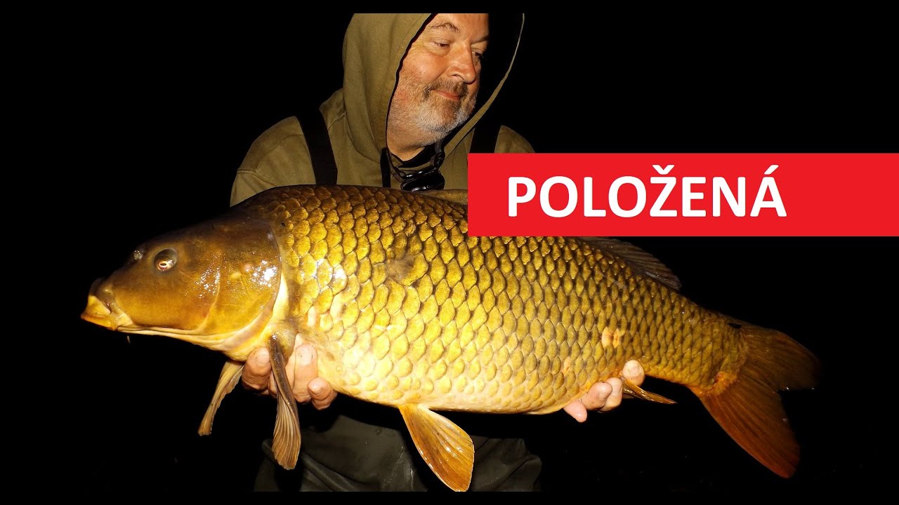 Jednoduchá výroba: Švestkové těsto na kapry, které ve vodě „kouří“