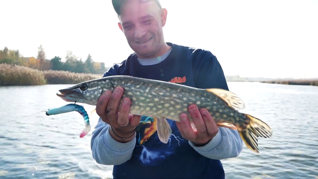 Jesienny spinning-OKOŃ i SZCZUPAK na gumę | Wędkarstwo