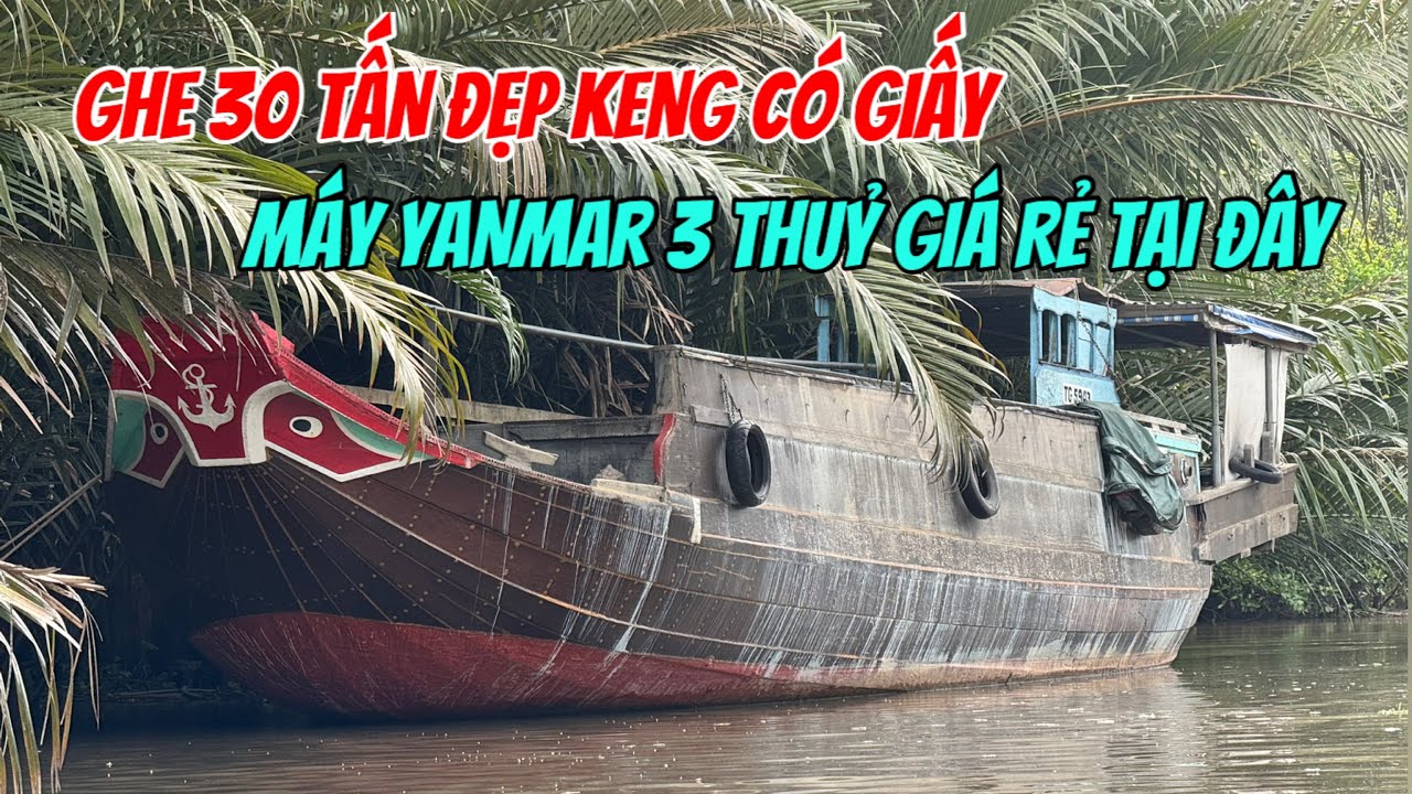 Bán Ghe 30 Tấn Giá Rẻ Máy Yanmar 3 Có Giấy Chỉ 120tr Thôi 0923,5555,97 Tâm| Tâm Vlog