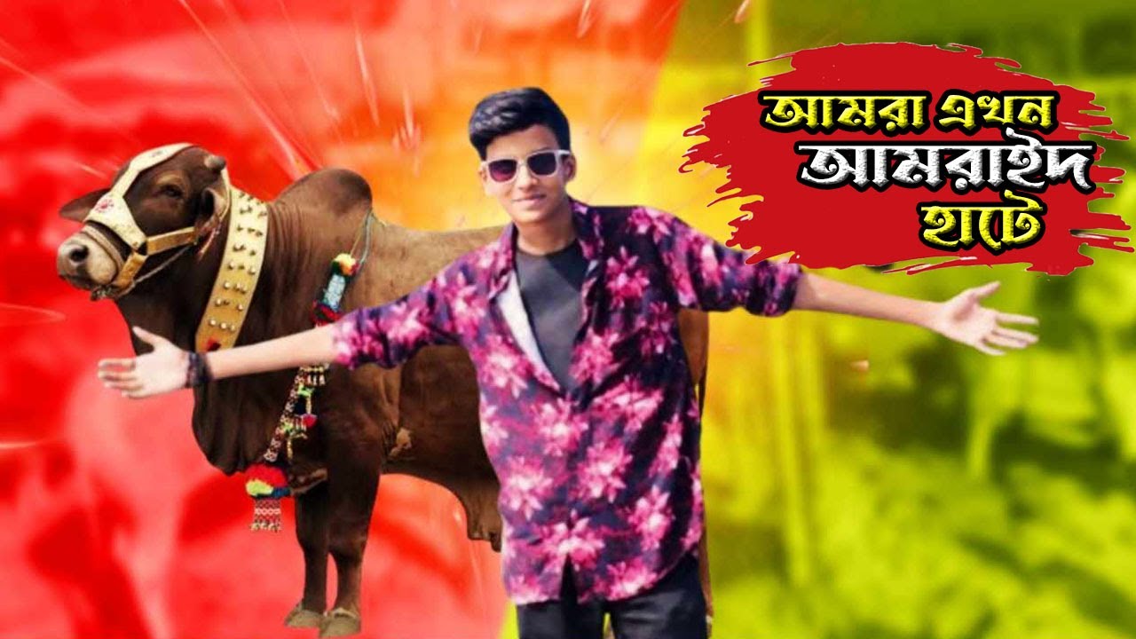 আমরা এখন আমরাইদ হাটে | Qurbani cow 2024 | amraid gorur hat | Cow videos | Shahil | SD Family World