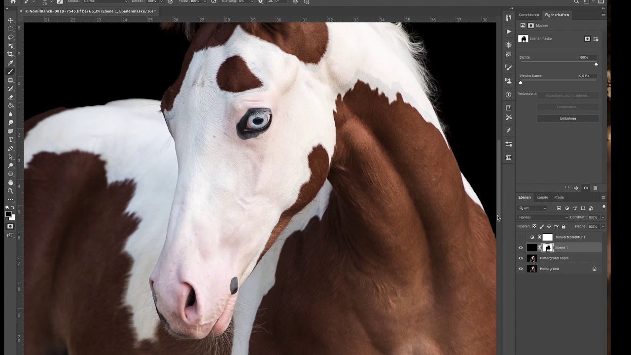 Quicktipp 1 - Hintergrund schwärzen mit Photoshop