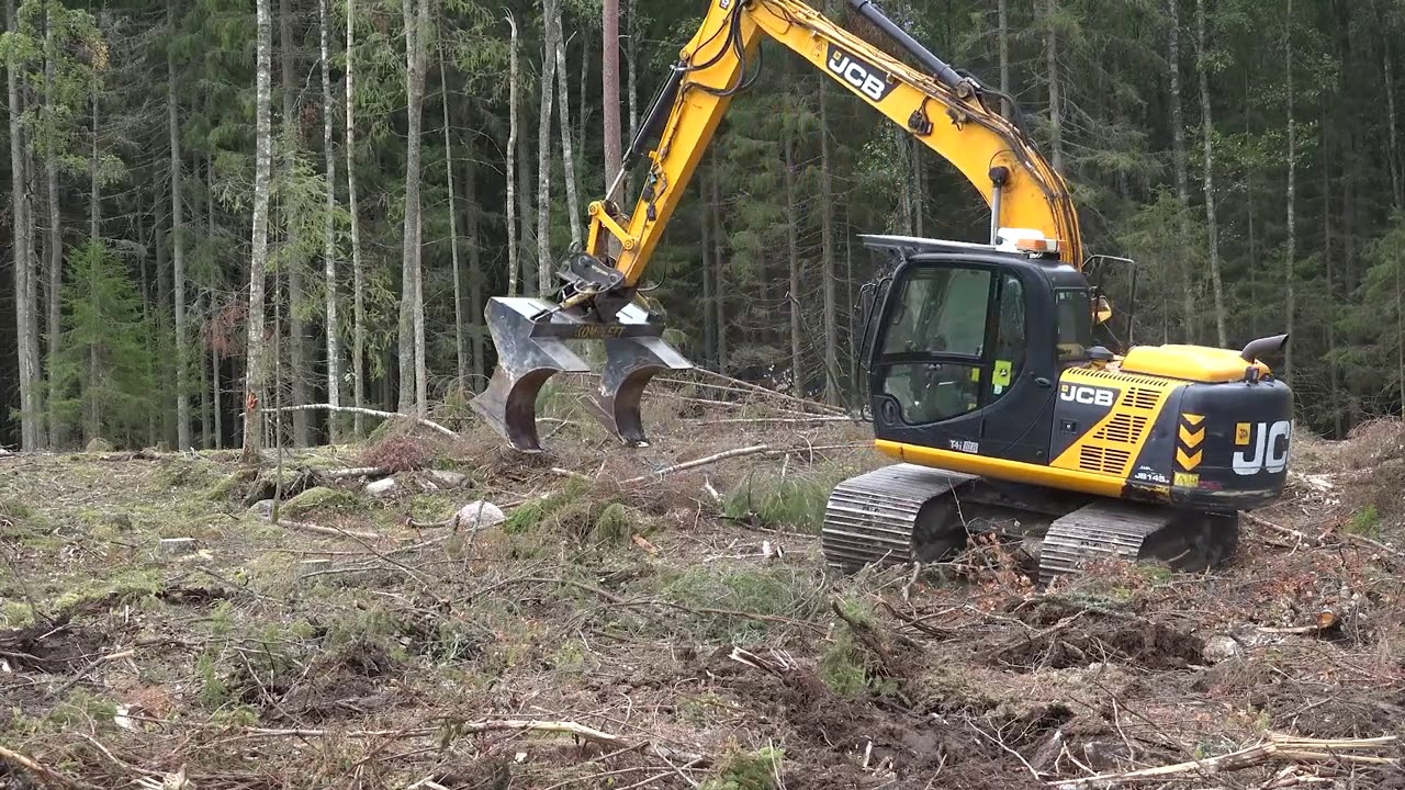 Markberedning med grävmaskin JCB 145
