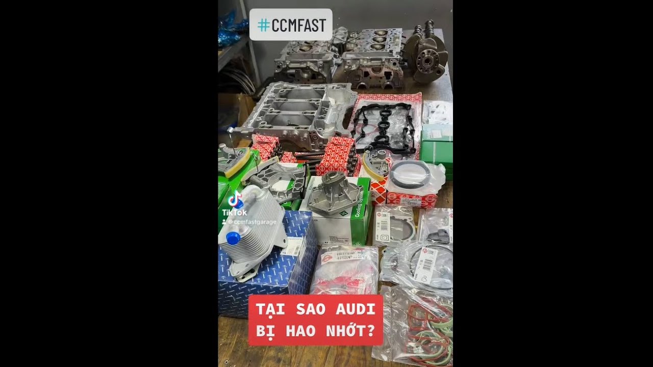 TẠI SAO AUDI BỊ HAO NHỚT?