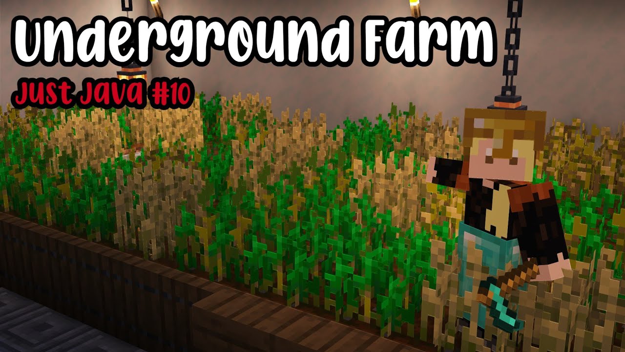 Underground Farm | Just Java ep. 10