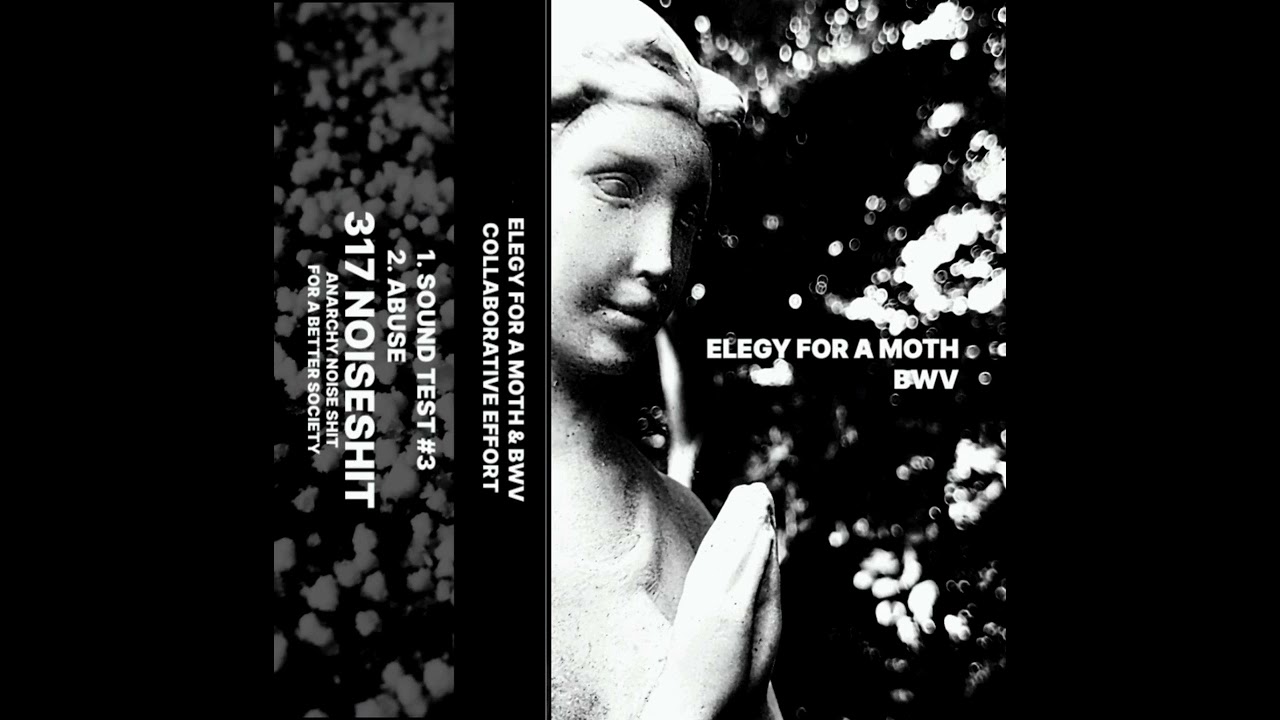 ELEGY FOR A MOTH & BWV 