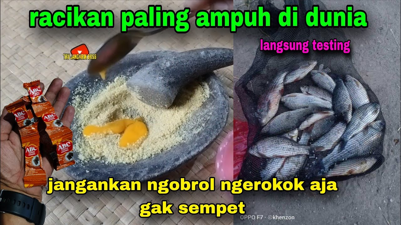 Jangankan ngobrol ngerokok aja gak sempet || umpan jitu ikan nilem #207