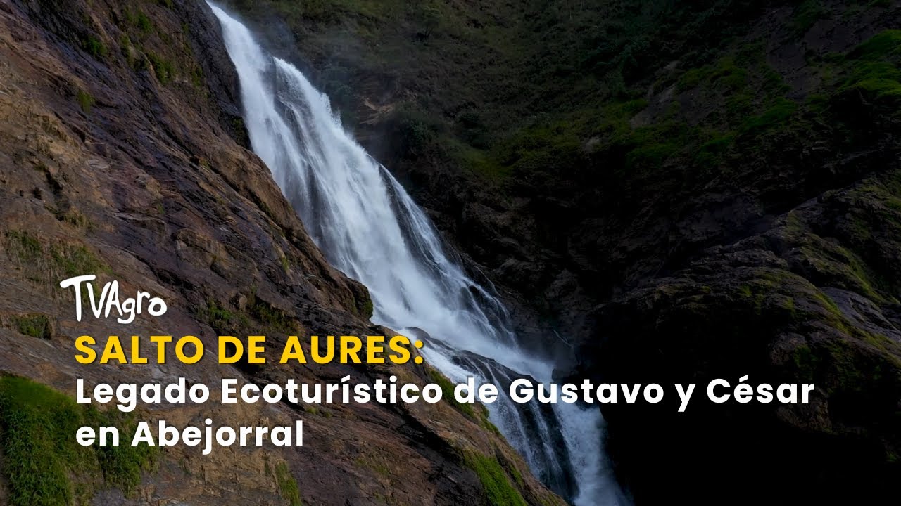 Salto de Aures: Legado Ecoturístico de Gustavo y César en Abejorral - TvAgro por Juan Gonzalo Angel