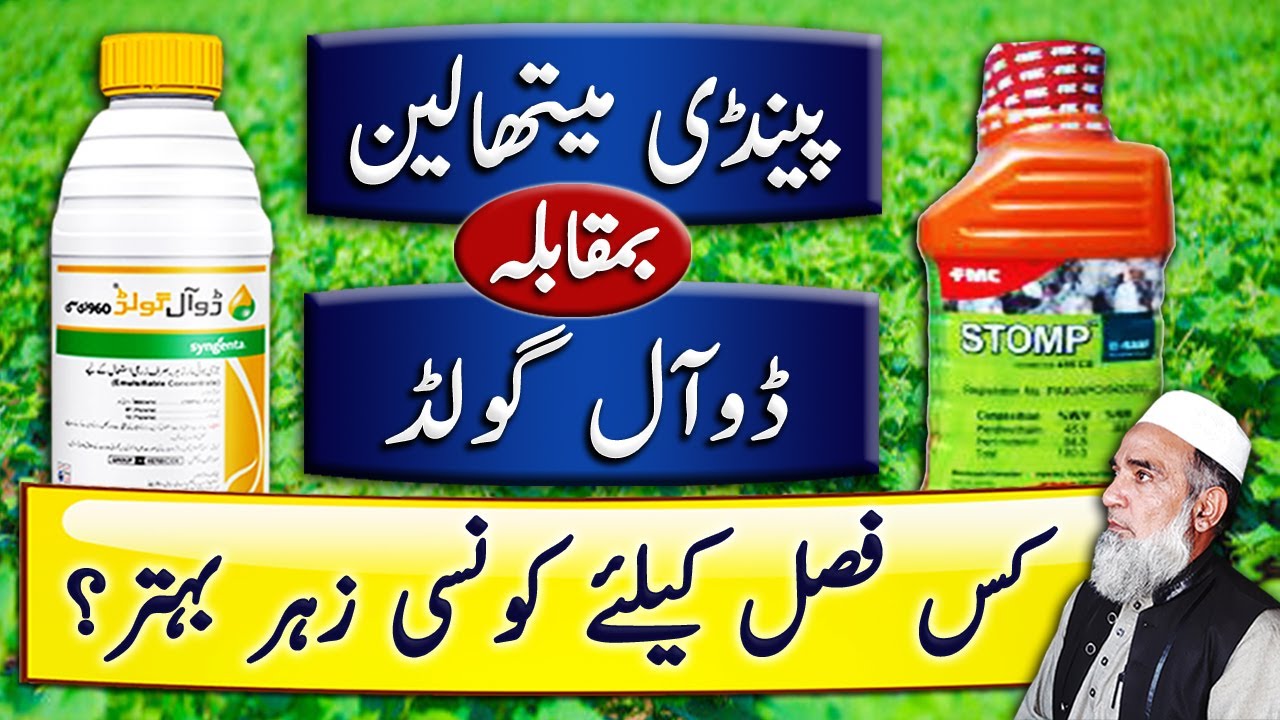 Which is better, pendimethalin or S metolachlor for different crops | Crop Reformer