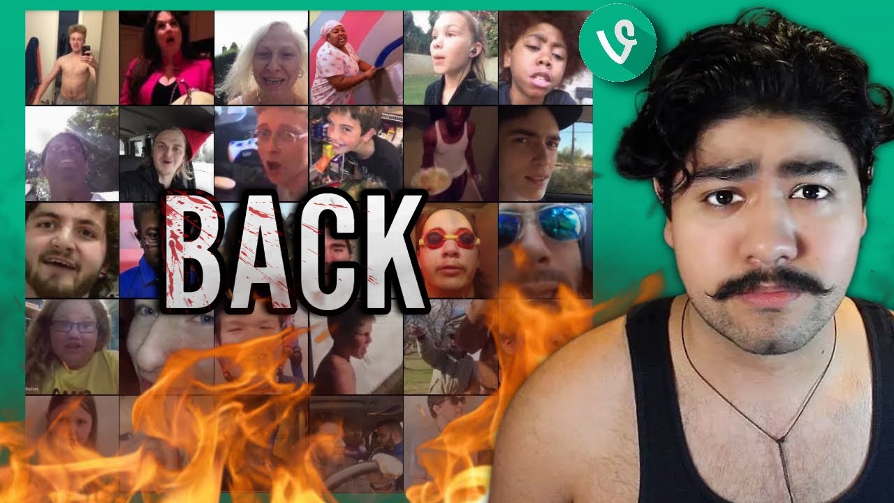 so apparently VINE is back...