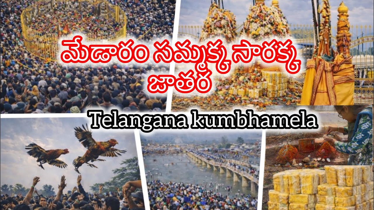 Medaram Sammakka Sarakka Jathara Vlog | తెలంగాణ కుంభమేళా | Huge Crowd & Darshanam  #hindusriclicks