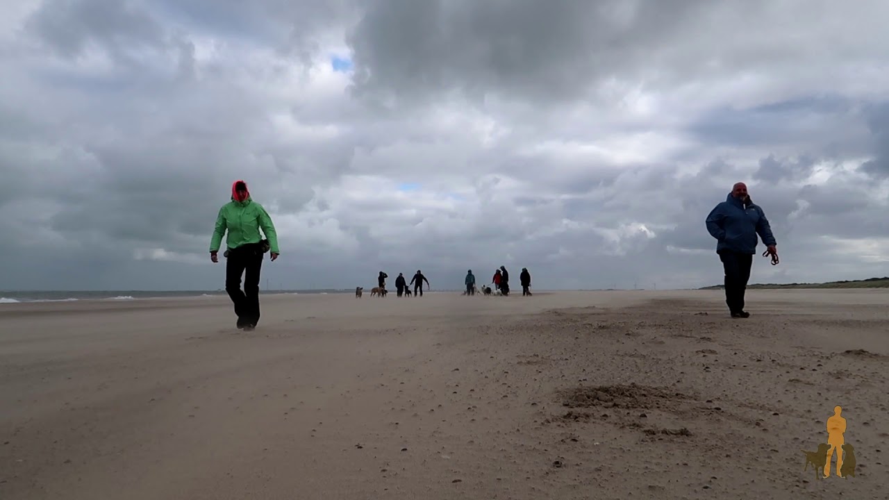 Stadtfelle VLOG 018 - Letzter Tag in Holland